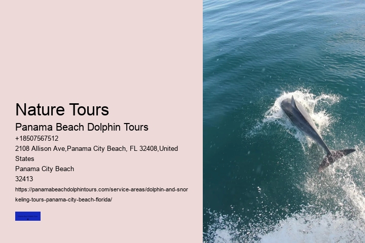 Why Not To Swim With Dolphins