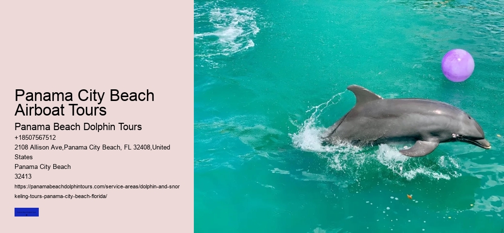 Is It Safe To Swim With Dolphins At A Resort