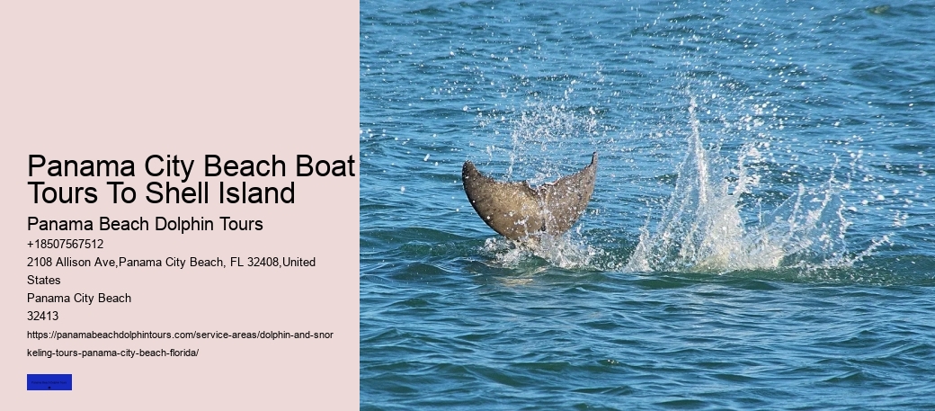 Shell Island Boat Tours Panama City Beach FL
