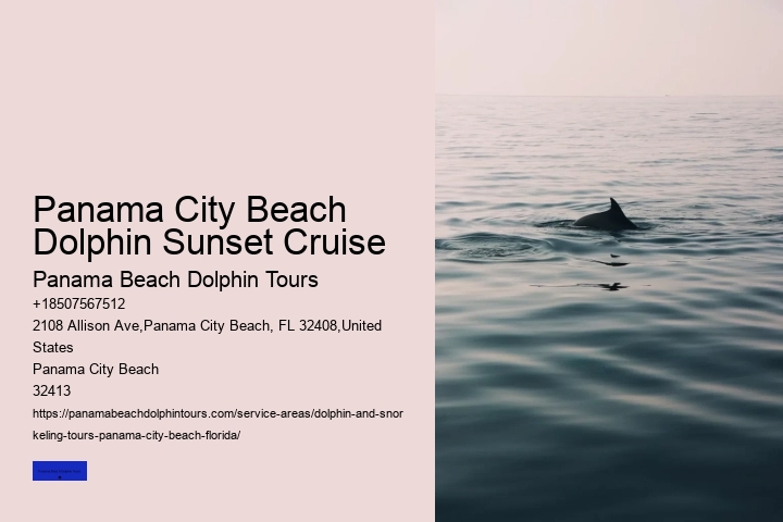 Panama City Beach Dolphin Swim Adventure