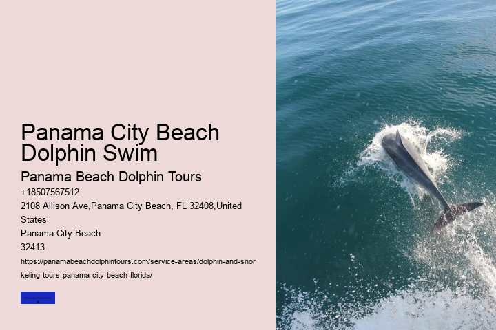 What Time Of Day Are Whales And Dolphins Most Active