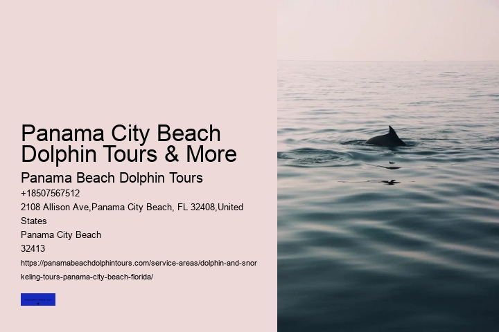 Swim With A Dolphin In Panama City Beach Florida