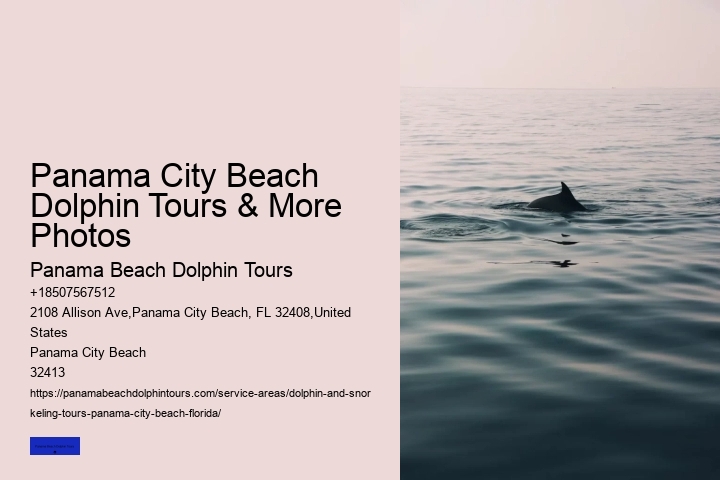 Beach Dolphin Tours Panama City