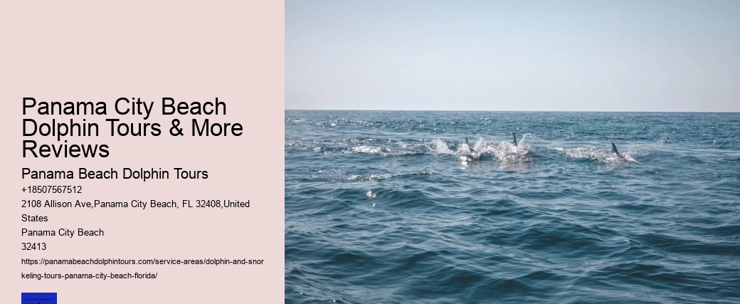 Dolphin Swim