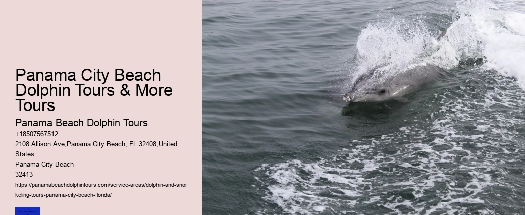 Dolphin Boat Tours Panama City Beach