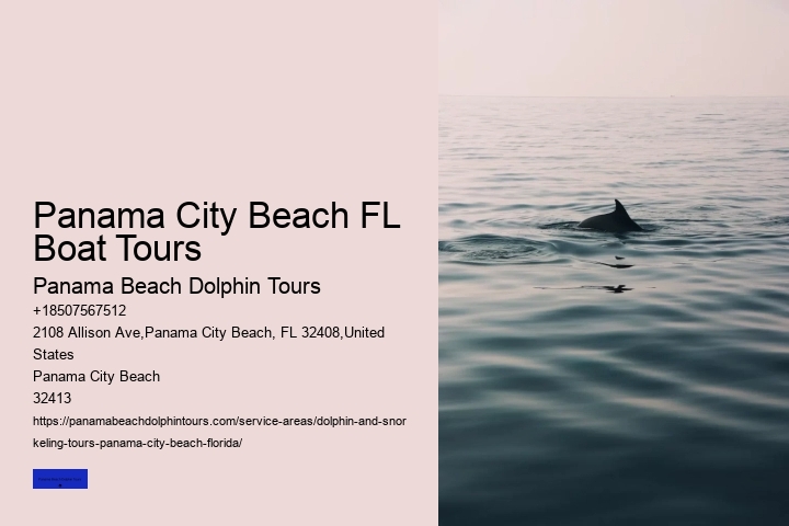 What Park InFlorida Can You Swim With The Dolphins