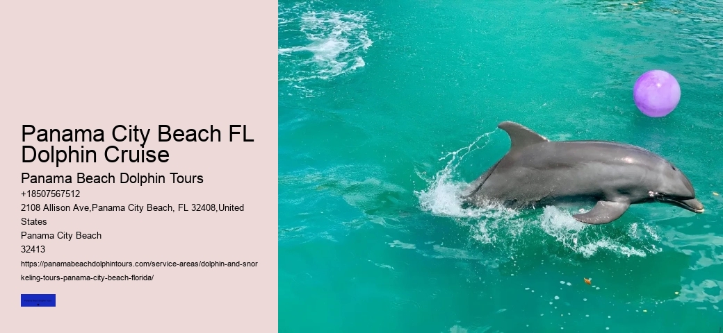 Dolphin Cruise In Panama City Beach