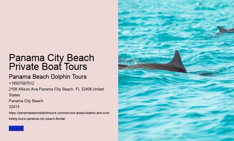 Is It Ethical To Swim With Dolphins