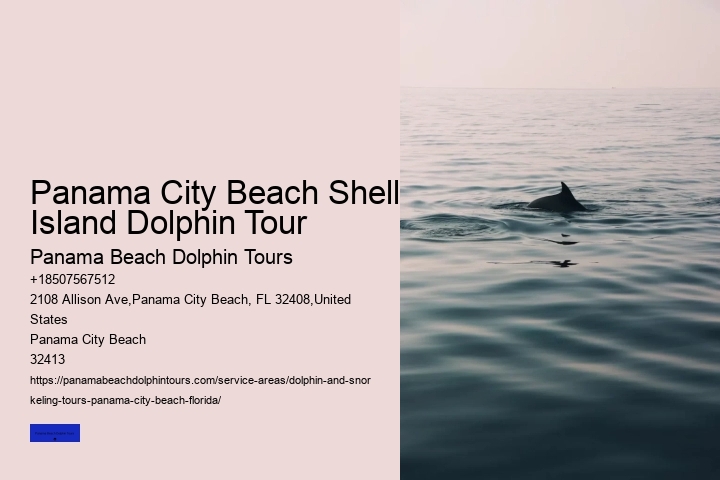 Panama City Beach Dolphin Tours & More Tours