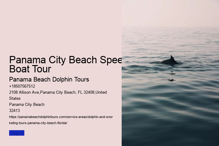 Swimming With Dolphin Tours Panama City