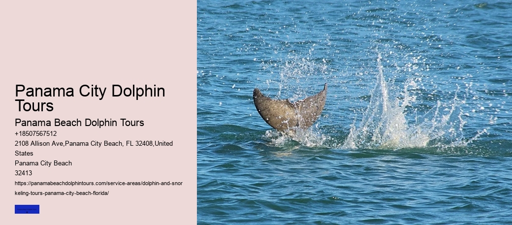 Why Shouldnt You Touch Dolphins