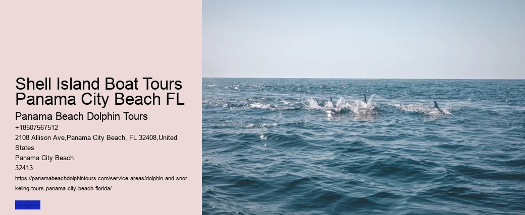 Top 20 Panama City Beach Dolphin Cruises & Tours