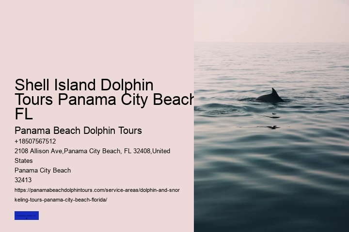Tips And Advice For Swimming With Dolphins