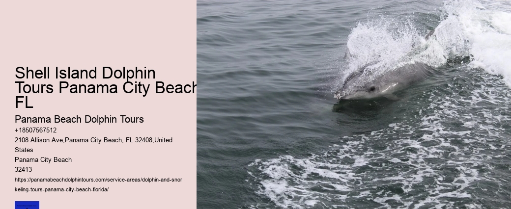 Dolphin Encounters