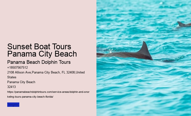 What To Do If A Wild Dolphin Approaches You