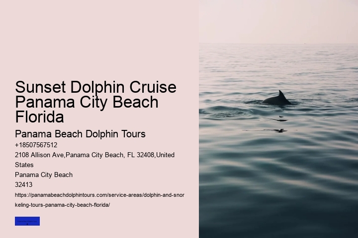 Wild Dolphin Tours Panama City Beach