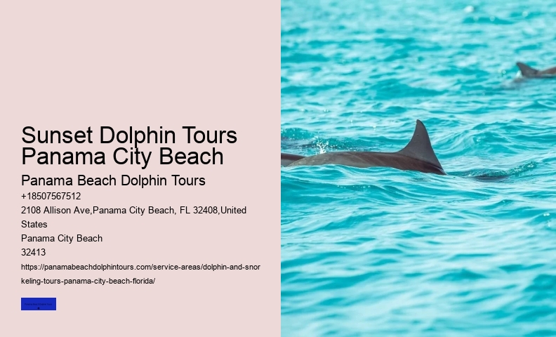 City Beach Dolphin Tours