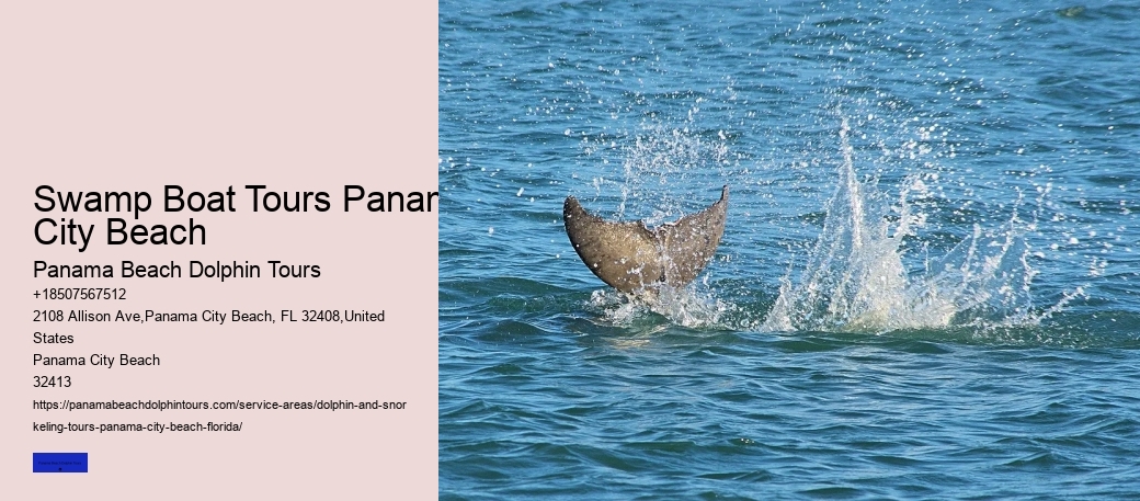 Panama City Beach Dolphin Tours & More Photos