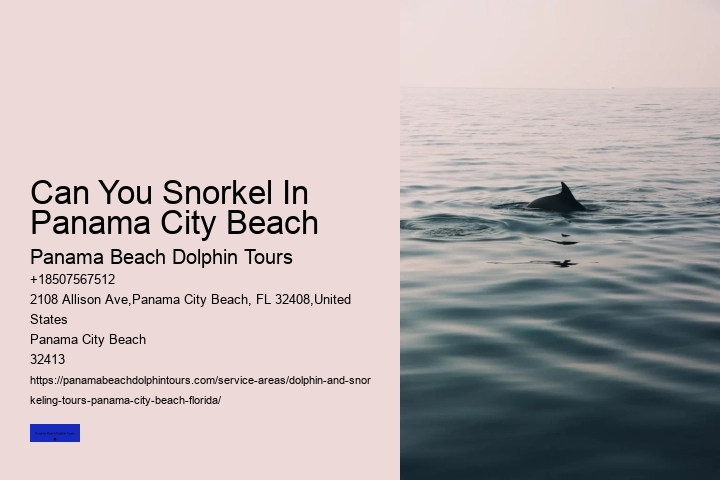 Can You Snorkel In Panama City Beach