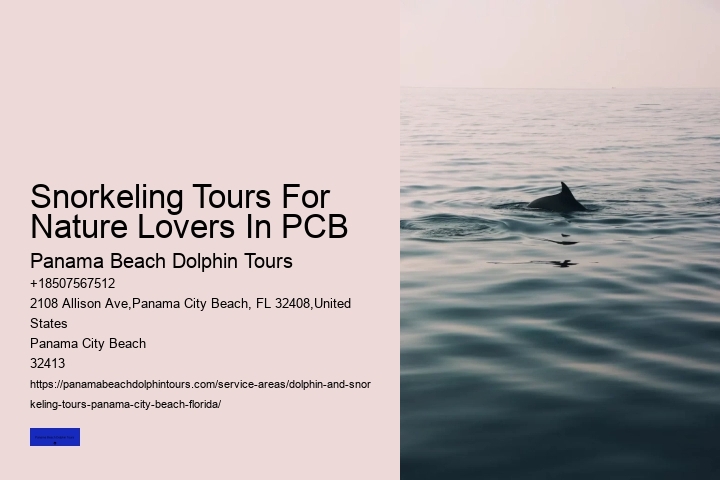 Snorkeling Tours For Nature Lovers In PCB